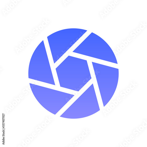 photograph flat gradient icon