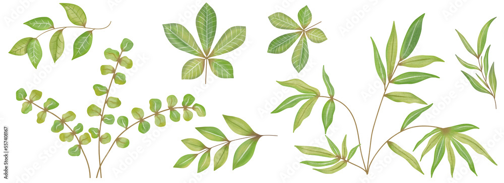Watercolor Leaves Green, Branch painting leaf art Watercolor Leaves Green, Branch painting leaf art