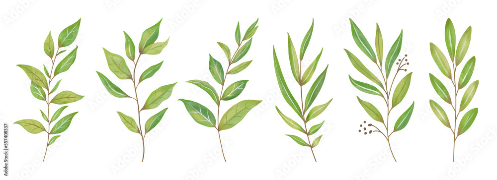 Naklejka premium Watercolor Leaves Green, Branch painting leaf art