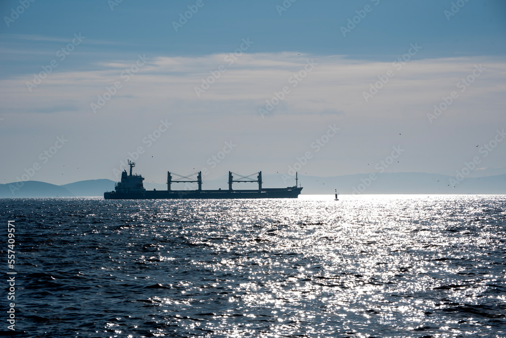 The ship sails through the Bosphorus in the morning The ship sails through the Bosphorus in the morning