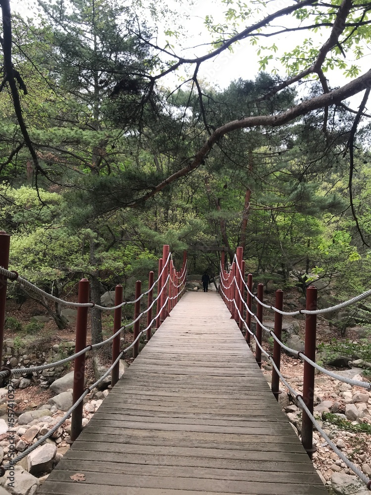 Obraz premium 한국의 아름다운 자연 환경