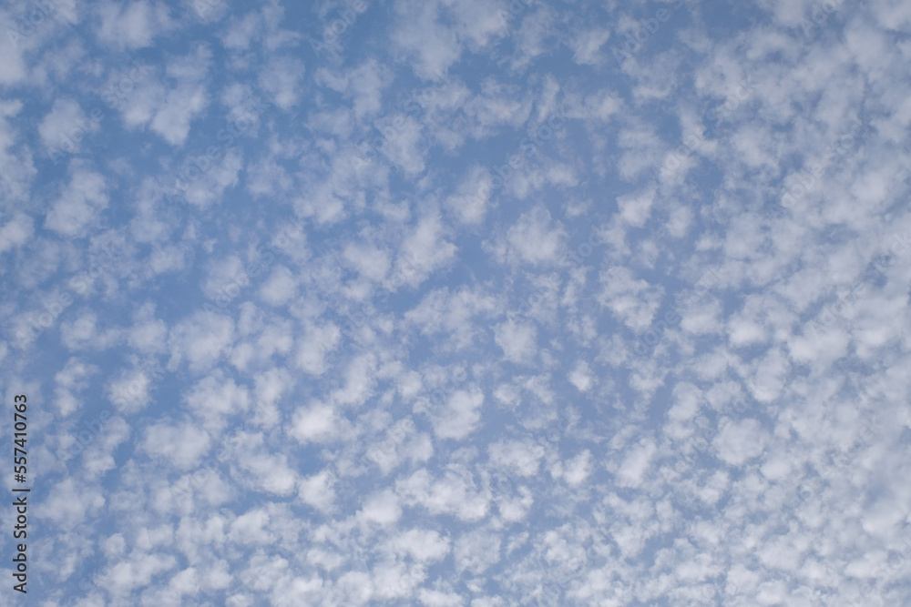 Cirrocumulus sur fond de ciel bleu Cirrocumulus sur fond de ciel bleu
