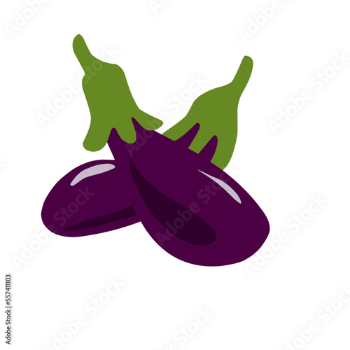 Eggplant vegetable illustration in white background, hand drawn vegetable illustration 