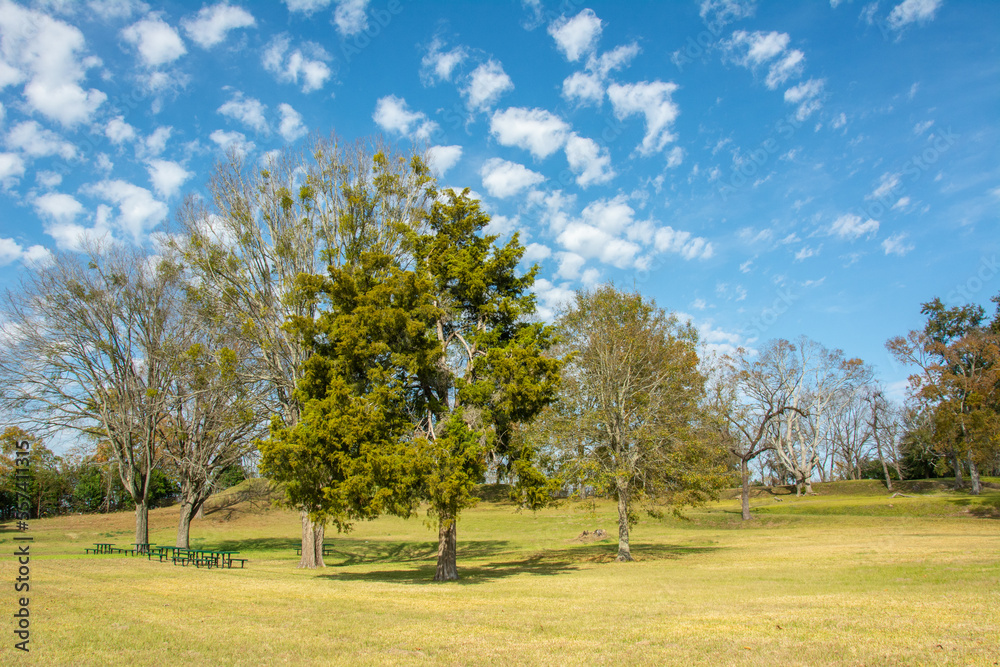 Fototapeta premium Site of the abandoned Fort Rosalie built by the French in 1716 within the territory of the Natchez Native Americans on South Canal Street, Natchez, Adams County, Mississippi