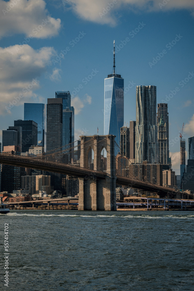 One World Trade Center and Brooklyn Bridge - Manhattan Skyline