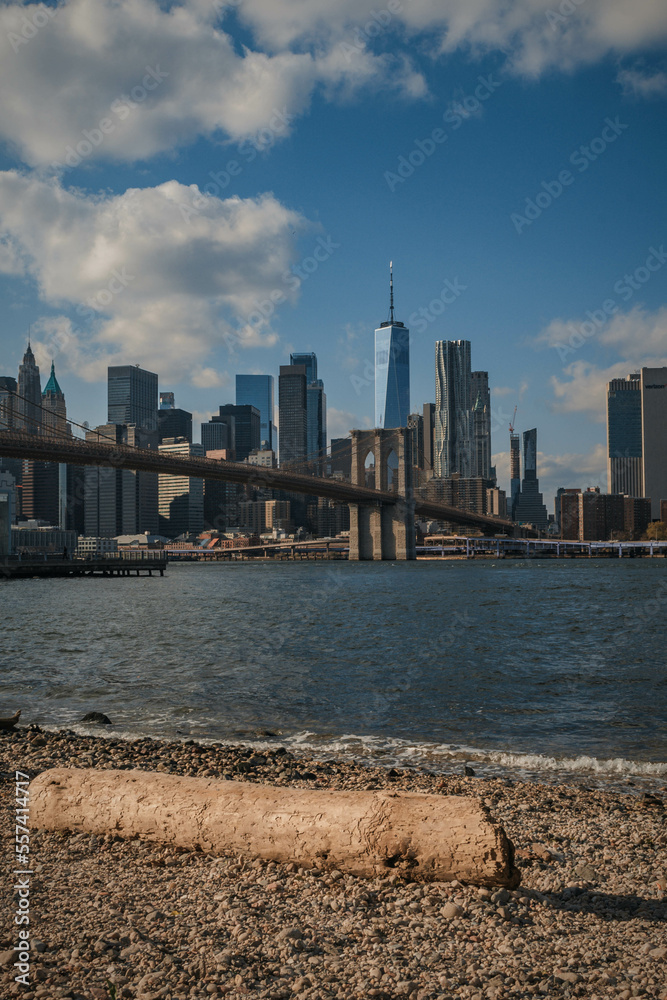 Naklejka premium One World Trade Center and Brooklyn Bridge - Manhattan Skyline