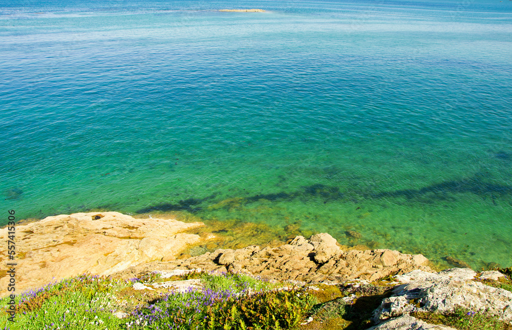 Coast of the Atlantic Ocean and low tide, sea on the coast of France