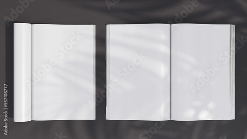 3D rendering of magazines  on dark stone background with palm tree shadows. Mockup. 3D illustration (ID: 557416777)