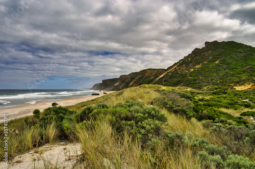 Sand dunes with marram grass, cliffs and beach at the south coast of Australia. Salmon Beach, Windy Harbour, Western Australia. 