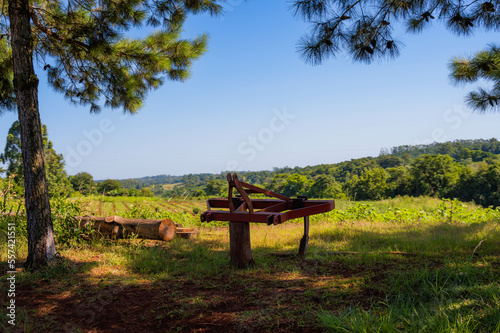 rural life system in Misiones. rural field work in mission colonies. crops of corn, cassava, yerba mate. pasture and cattle production.