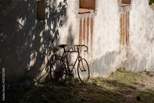 Bicyclette à l'ombre d'un arbre, Nebbio, Corse photo