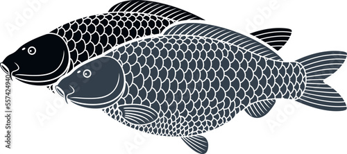 Carp logo. Isolated carp on white background