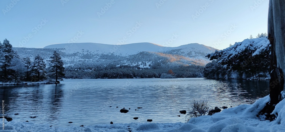 Lake in Winter - Loch an Eilein