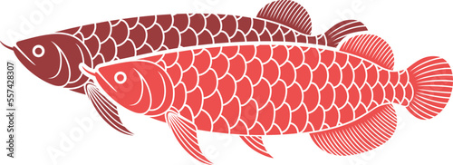 Arowana logo. Isolated arowana on white background. Dragon fish
