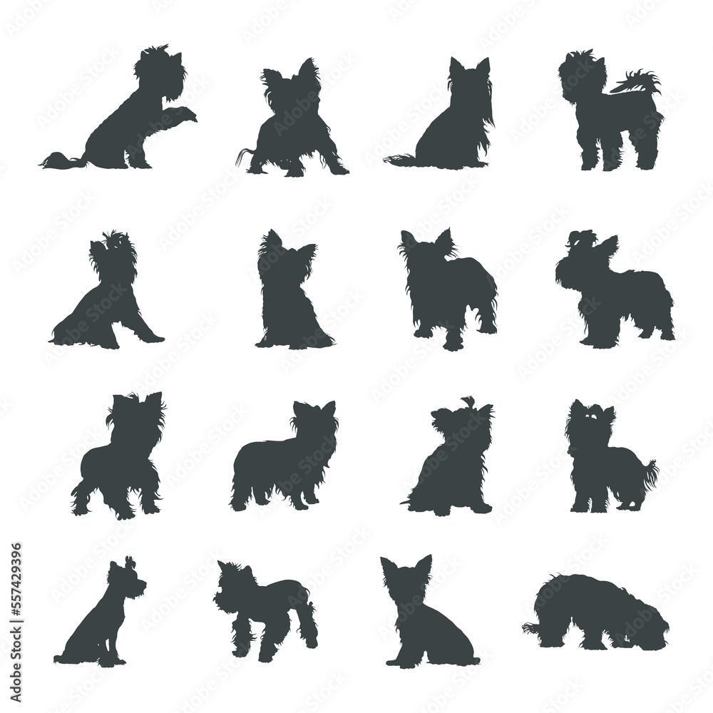 Yorkshire terrier dog silhouettes