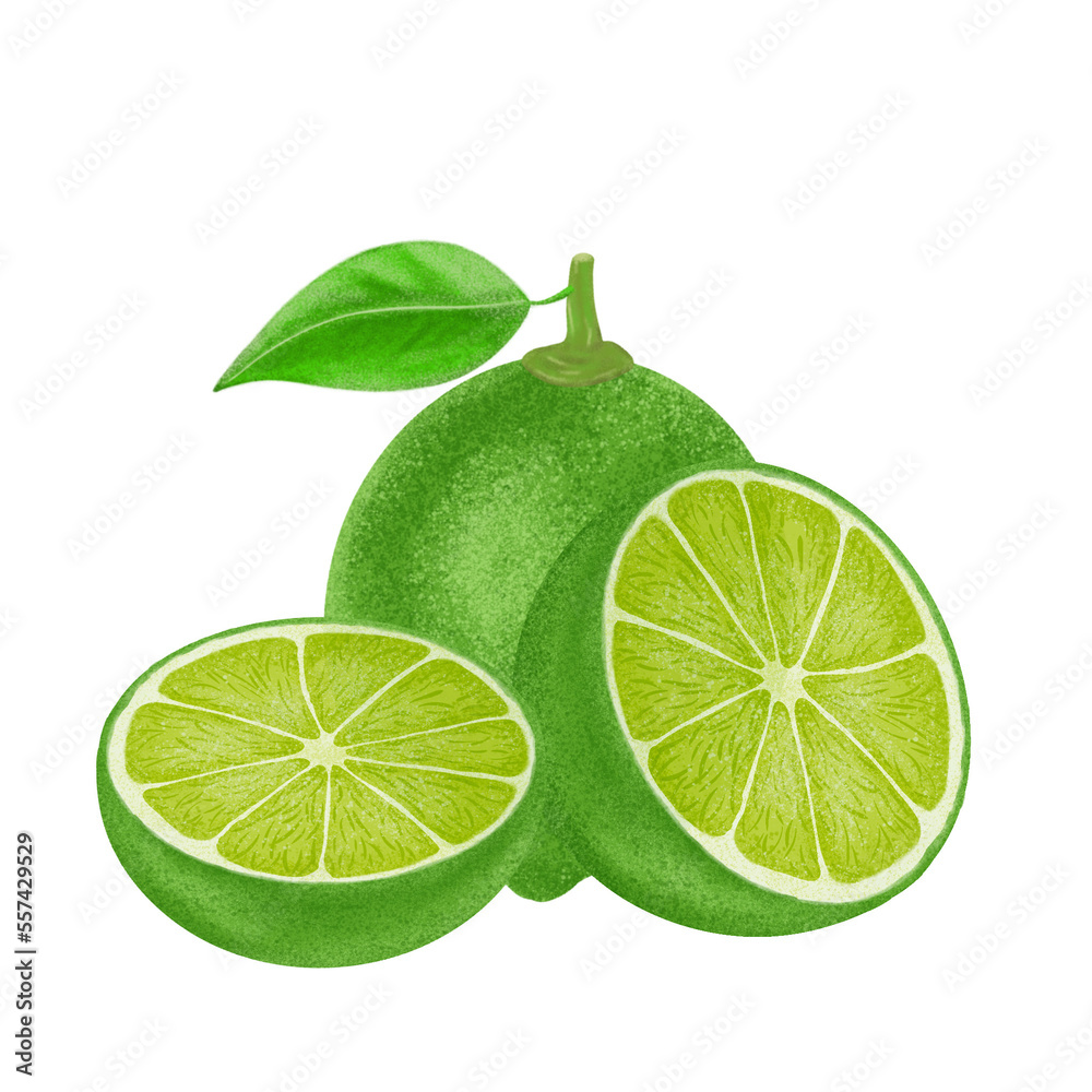 Green lemon illustration, color painting. Green lemon illustration, color painting.