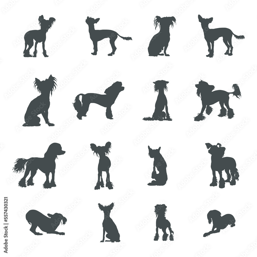 Chinese crested dog silhouettes