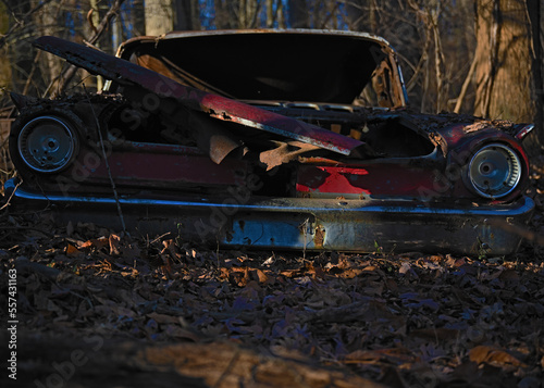 Red 1963 Fairlane in the woods