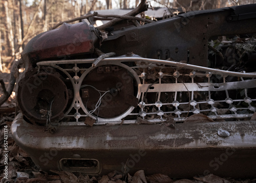 Red 1963 Fairlane in the woods