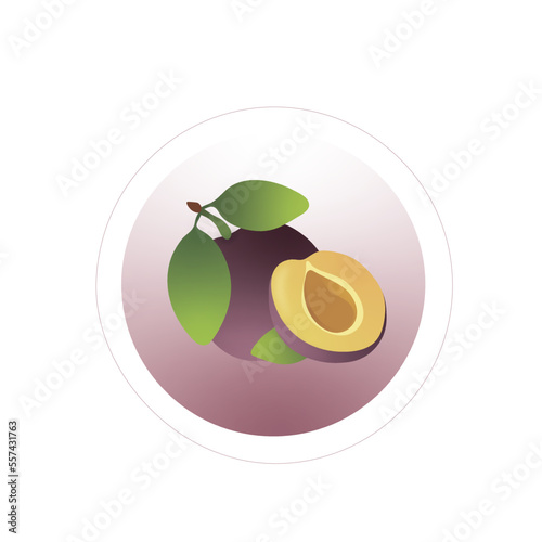 Fruit sticker. Plum. Label for healthy food and natural products. Tag, sticker, stamp for marking. Vector illustration. Fashion promo label.