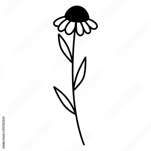 Fototapeta Naklejka Na Ścianę i Meble -  Plant Flower Outline Illustration