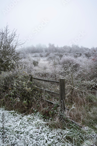 Beautiful Winter landscape ...