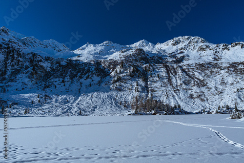 The mountains and the nature of val forno and val Bregaglia with fresh snow on the trees, lots of cold and a beautiful sun, near the village of Maloja, Switzerland - December 2022. photo