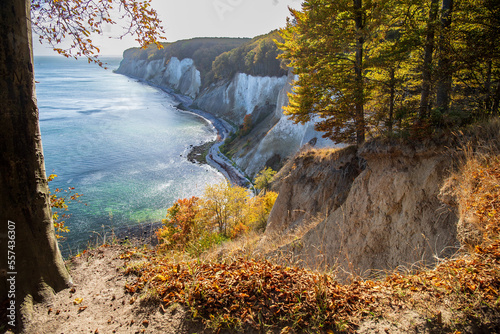Hochuferweg im Nationalpark Jasmund auf Rügen