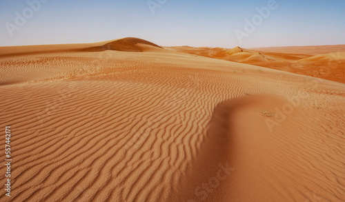 Sandd  nen in der Rimal al Wahiba W  ste Oman 