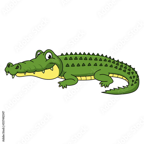Alligator vector illustration. Cartoon Alligator. Crocodile hand draw isolated.
