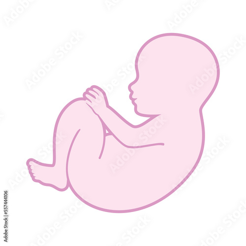 Cute baby girl newborn pink outline icon vector. Baby in fetal position graphic design element isolated on a white background. Adorable newborn silhouette drawing