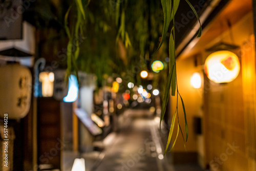 提灯が並ぶ夜の京都の先斗町の風景