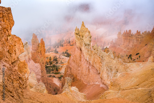 hoodoos covered in fog at bryce canyon