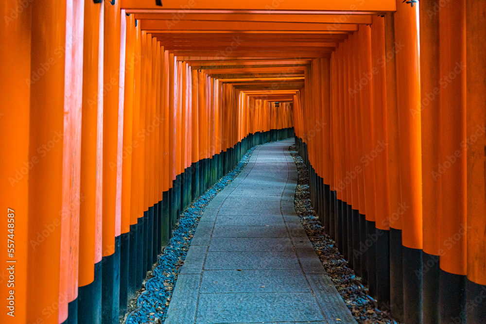 Fototapeta premium 真っ赤な鳥居が並ぶ、京都の伏見稲荷の千本鳥居