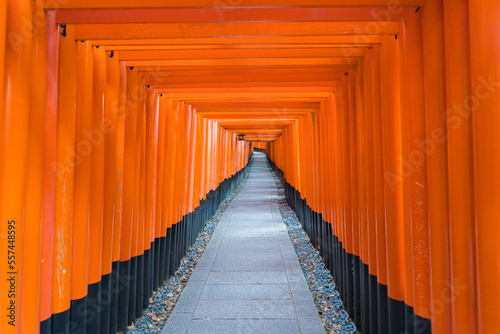 真っ赤な鳥居が並ぶ、京都の伏見稲荷の千本鳥居