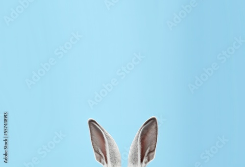 Rabbit Ears On Bottom Of Blue Pastel Background Generative AI © Aleksandar