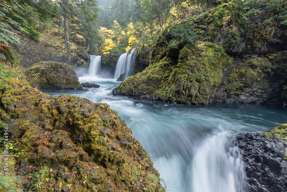 Obraz premium waterfall in the forest
