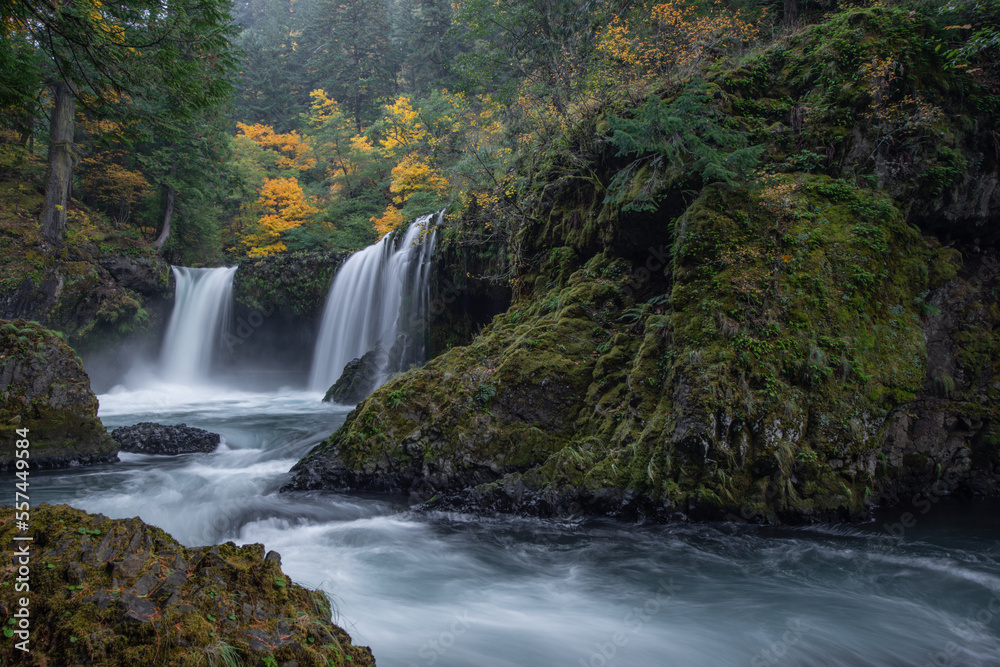 Obraz premium waterfall in the forest
