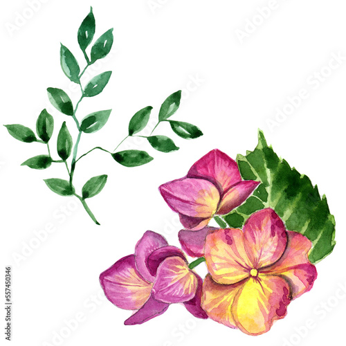  Watercolor flowers and twig isolated on white background.