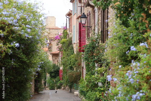 Fototapeta Naklejka Na Ścianę i Meble -  Ruelle végétalisée pittoresque dans la vieille ville d’Antibes, dans les Alpes-Maritimes, en Provence, avec de nombreuses plantes vertes et des fleurs devant les façades des maisons (France)
