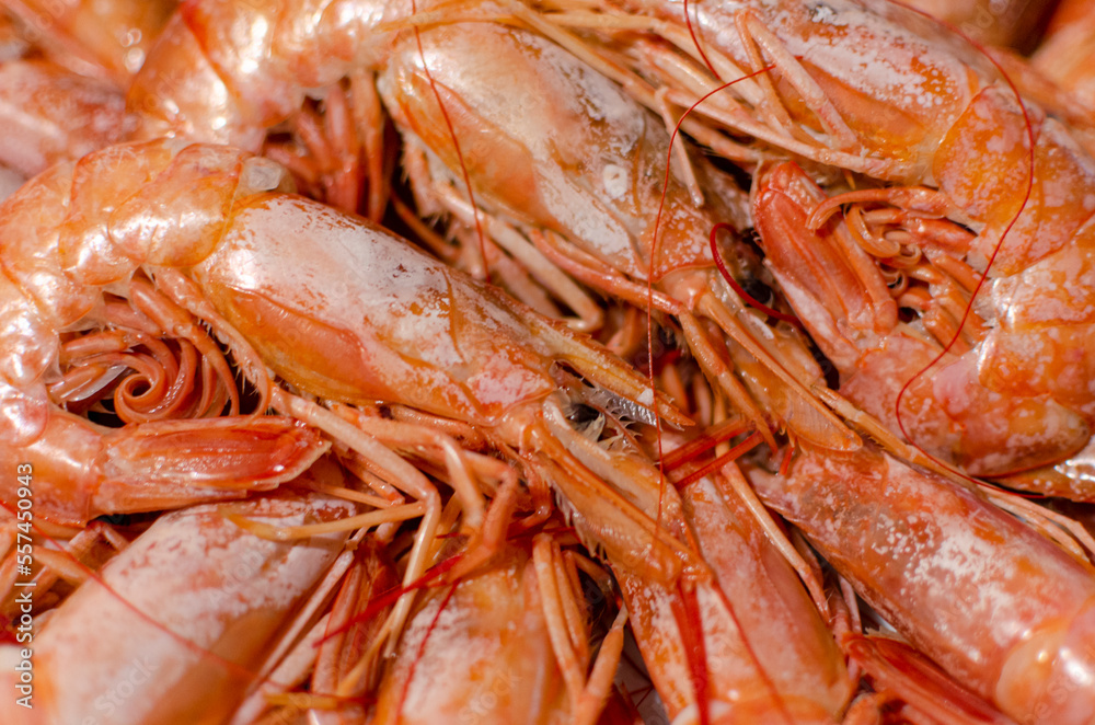 Gastronomy: boiled wild tiger shrimps close-up Gastronomy: boiled wild tiger shrimps close-up