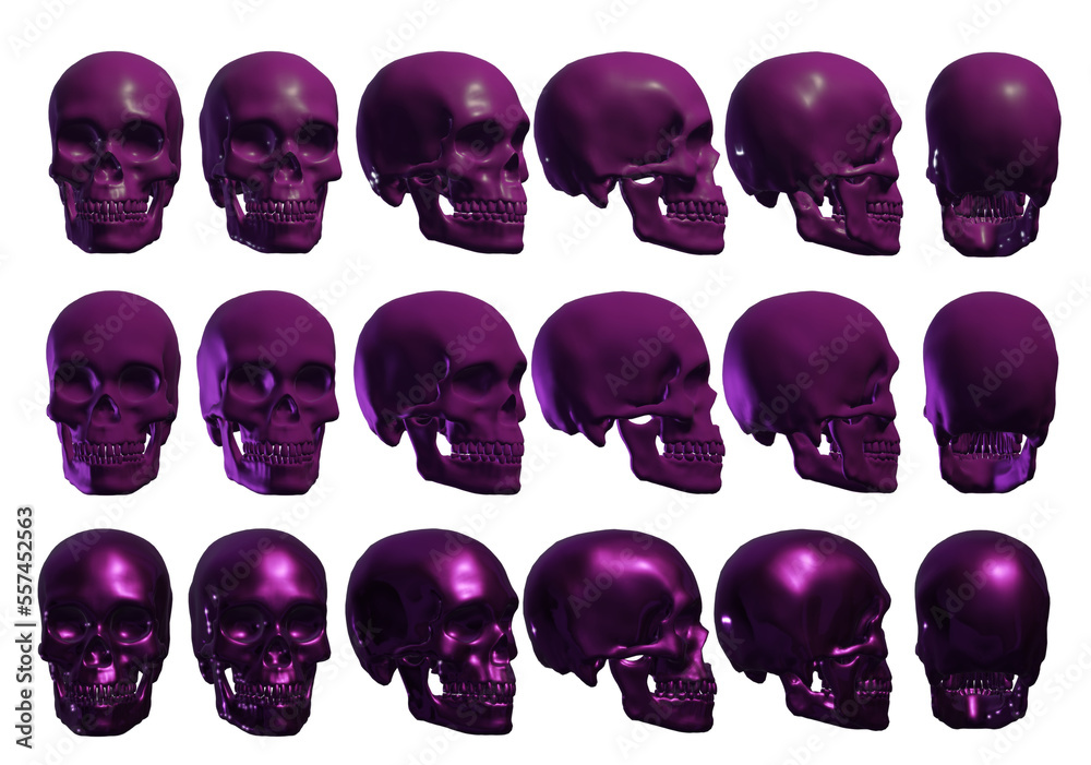 skull skeleton human skull skeleton human