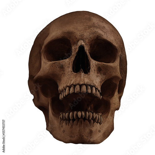 Human Skull With Open Mouth Fossil Digital Art By Winters860 Isolated, Transparent Background 