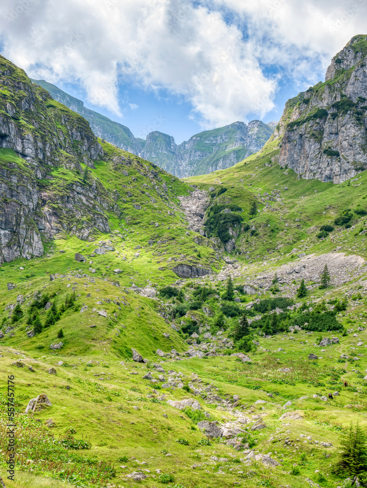 Fototapeta premium Beautiful landscape with Malaiesti Valley in the Bucegi Mountain part of the Carpathian Mountains of Romania.