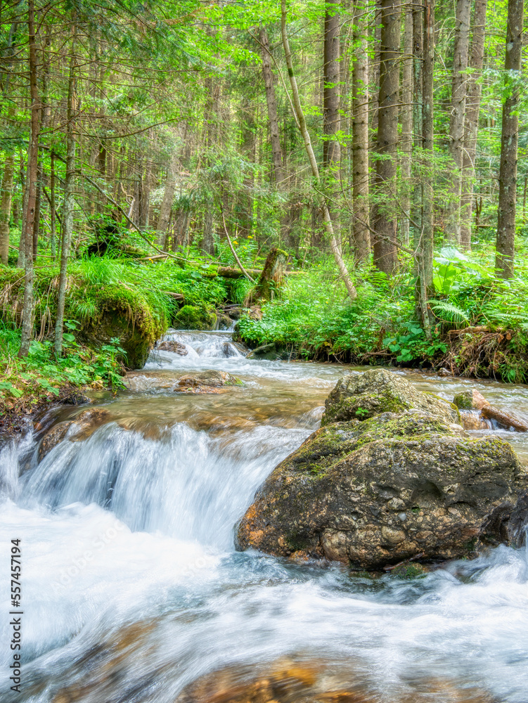 Stream flowing smoothly between rocks and green leaves in the forest.