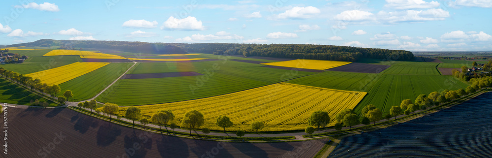 Luftbild - Blühende Rapsfelder wechseln sich mit grünen Getreidefelder ab.