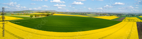 Luftbild - Blühende Rapsfelder wechseln sich mit grünen Getreidefelder ab.