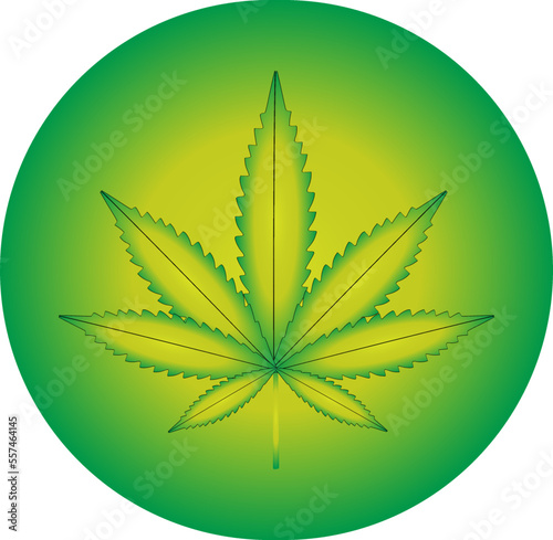 Vector illustration of marijuana leaf, cannabis plant used for medicinal purposes