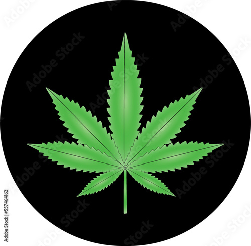 Vector illustration of marijuana leaf, cannabis plant used for medicinal purposes