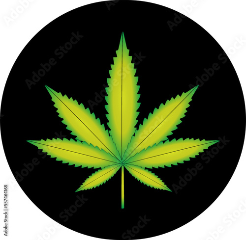 Vector illustration of marijuana leaf, cannabis plant used for medicinal purposes